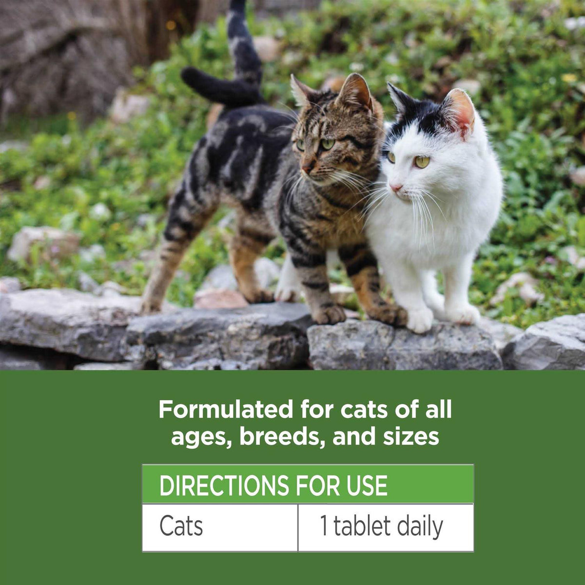 Oral Flea & Tick Chews for Cats 120 ct P58602