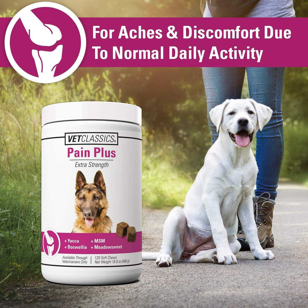 Pain Plus for Dogs G3152