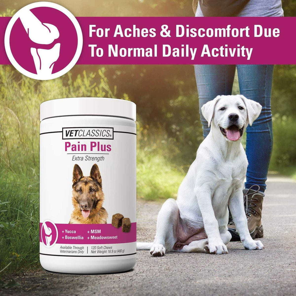 Pain Plus for Dogs G3152