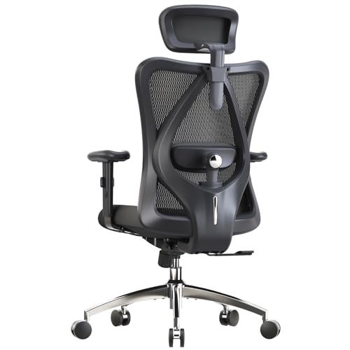 Black Ergonomic Office Chair with Adjustable Headrest and Lumbar Support P178