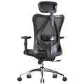 Black Ergonomic Office Chair with Adjustable Headrest and Lumbar Support P178