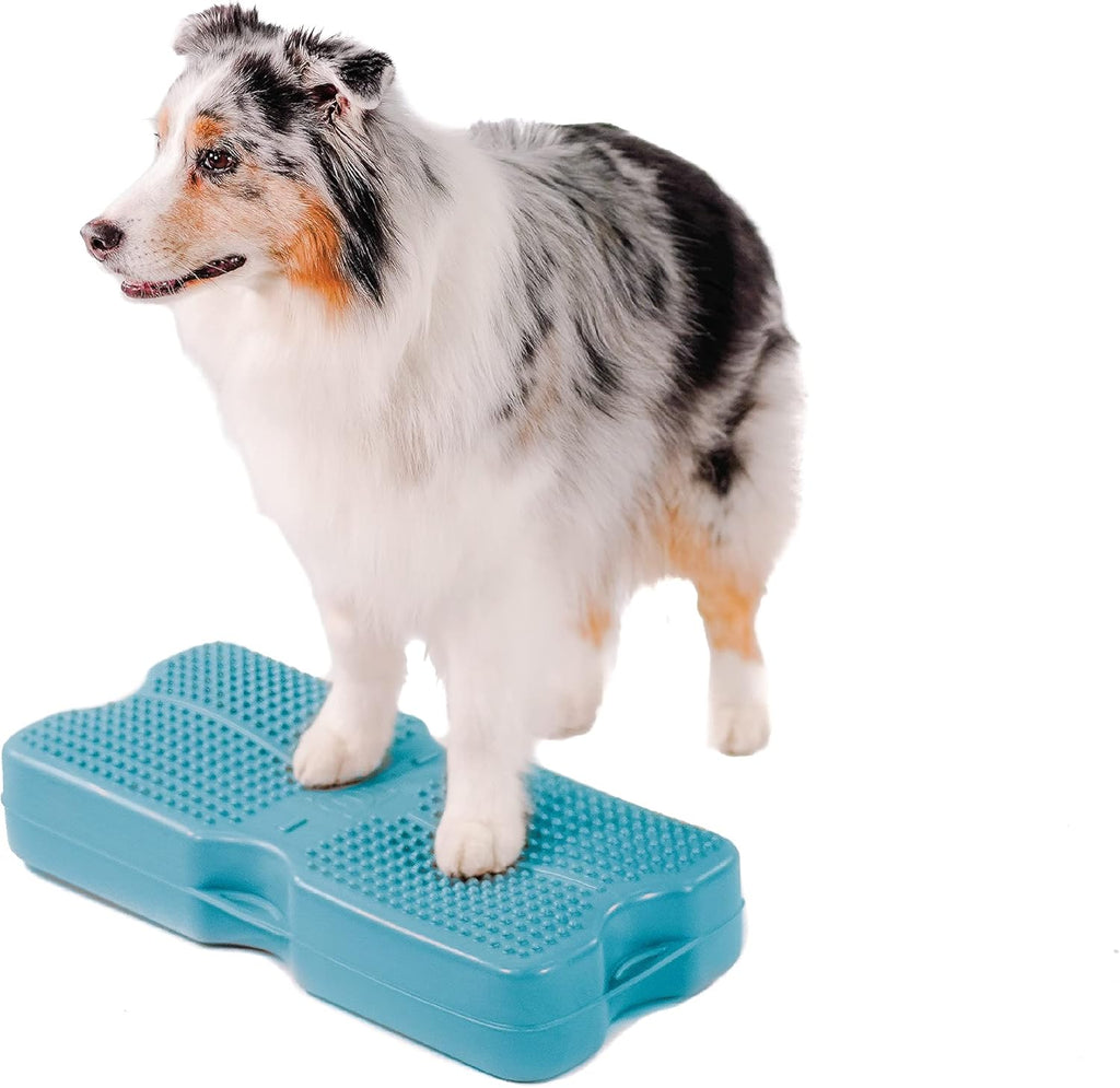 Gray Dog Fitness Equipment Y912
