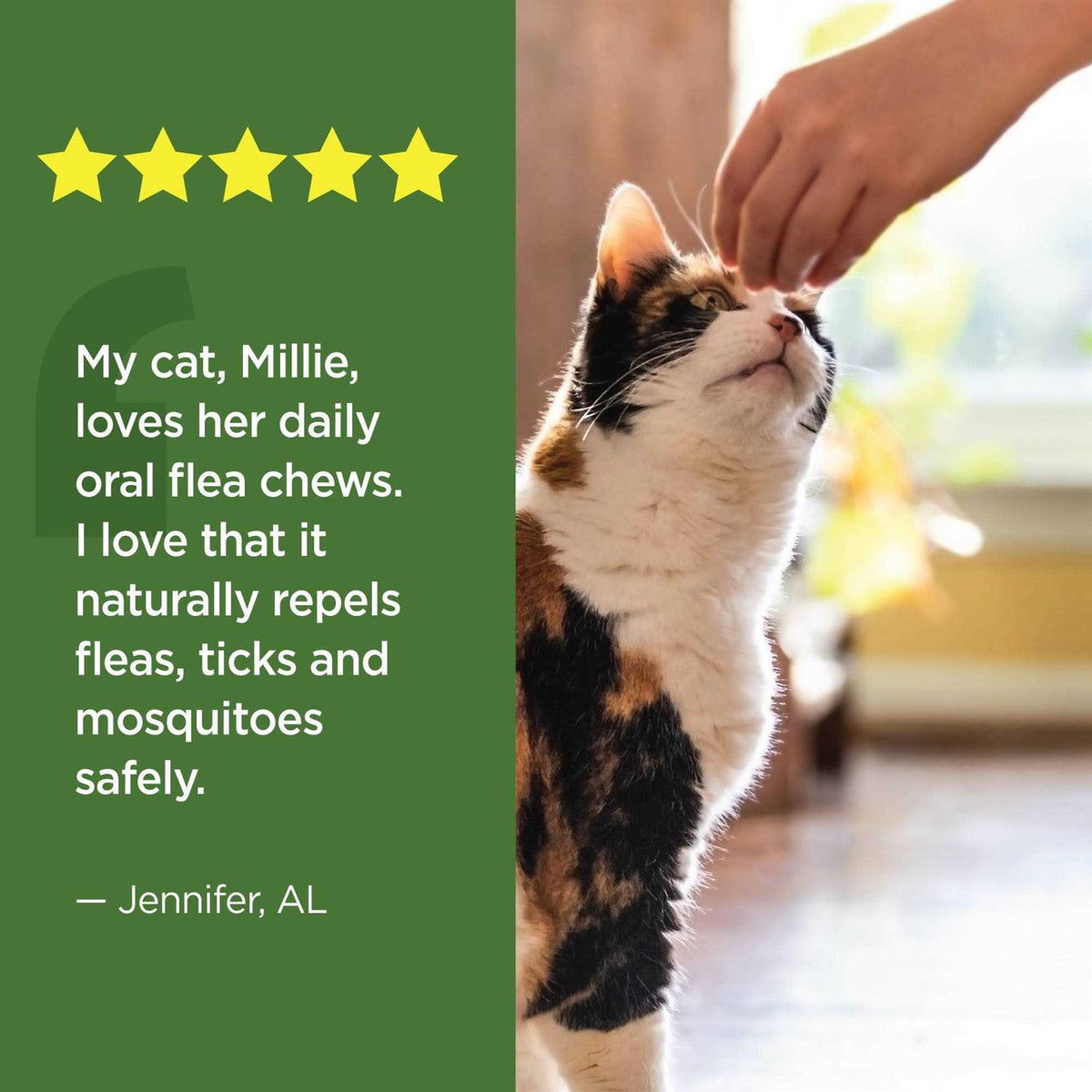 Oral Flea & Tick Chews for Cats 120 ct P58602