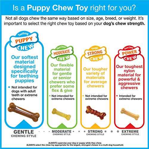 Chicken Flavor Puppy Chew Ring Bone Petite P9850