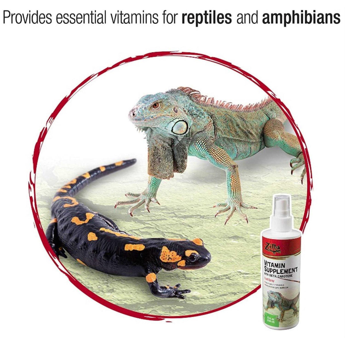 Vitamin Supplement with Beta Carotene O567