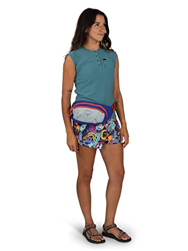 Daylite Waist Pack F619530