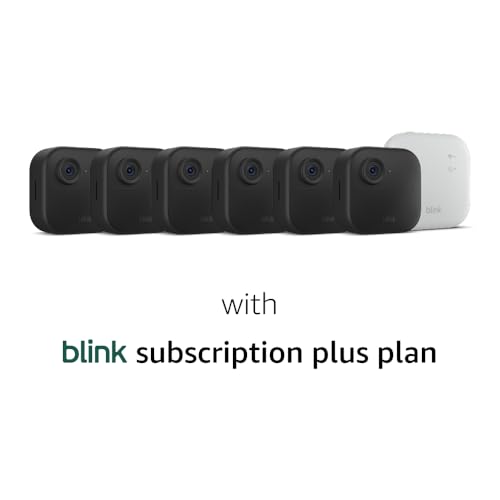 Wireless Security Camera System P22842