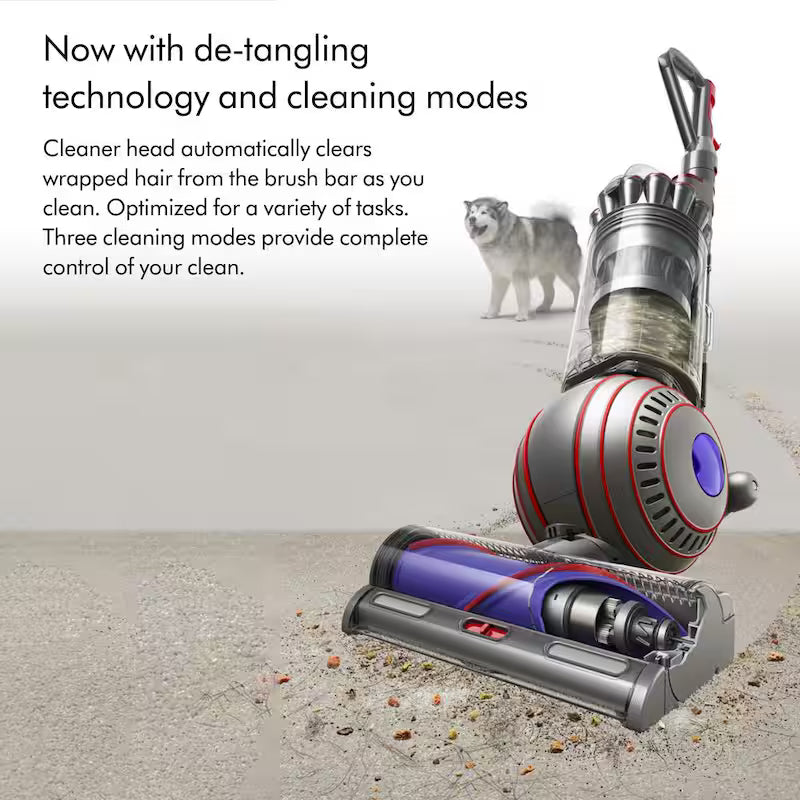 Upright Vacuum Cleaner F734