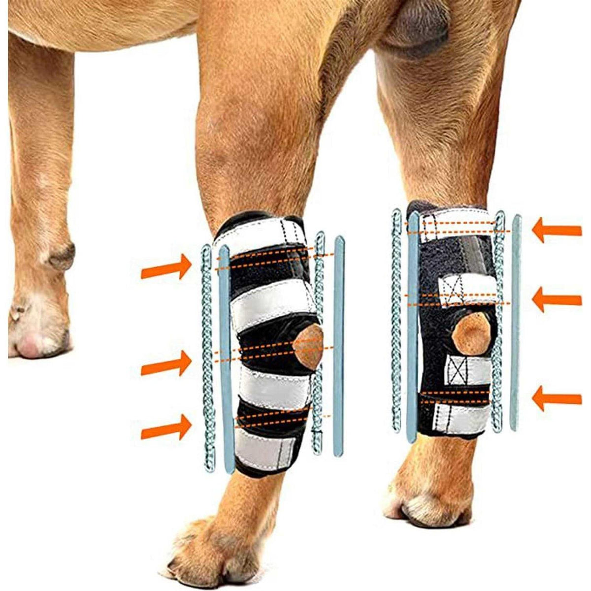 3-in-1 Long Rear Leg Support Dog Splint Braces P761115