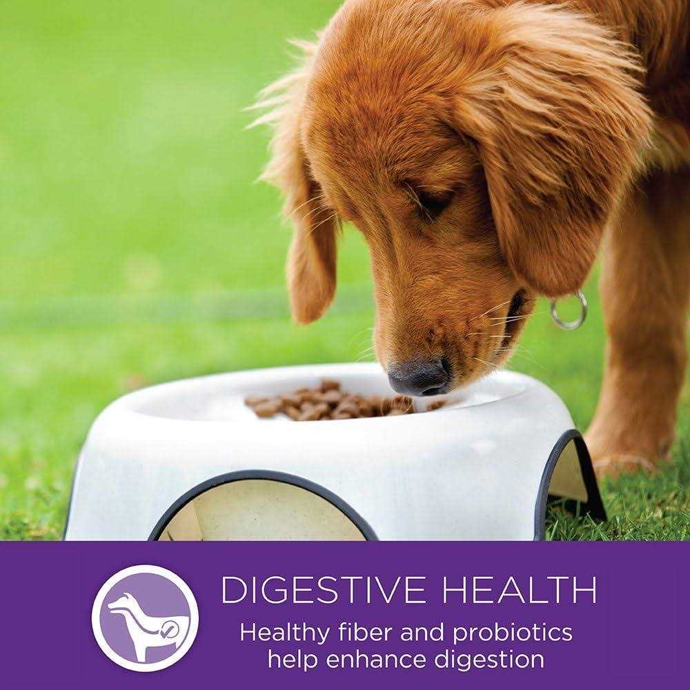 Small Breed Dog Food X35956