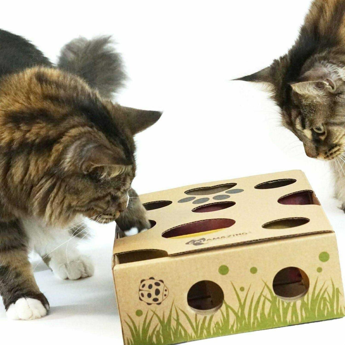 Interactive Cat Treat Maze Puzzle Feeder E797