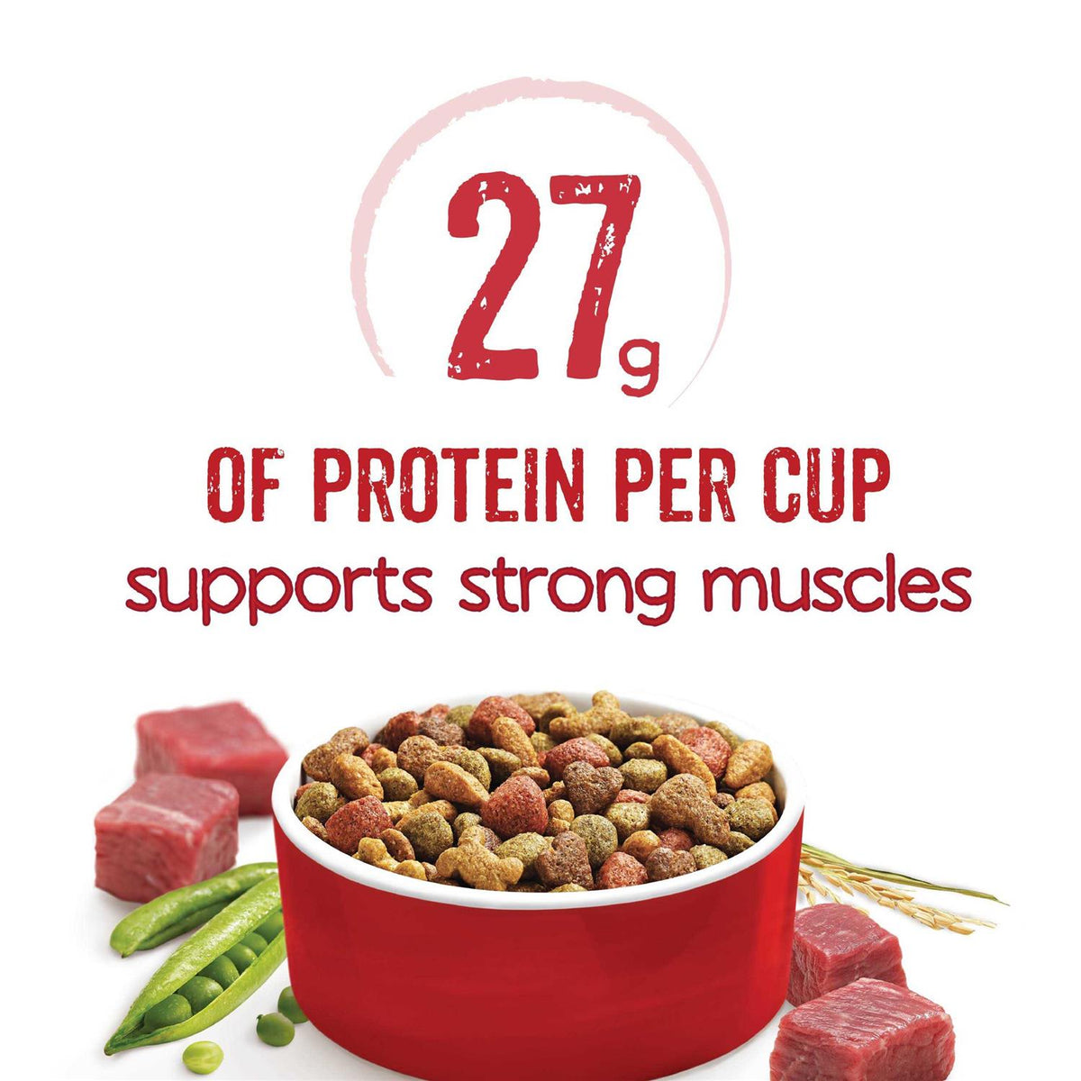 Beef Dry Dog Food K90677