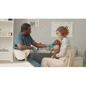 Calming Supplement for Dogs & Cats Y895867