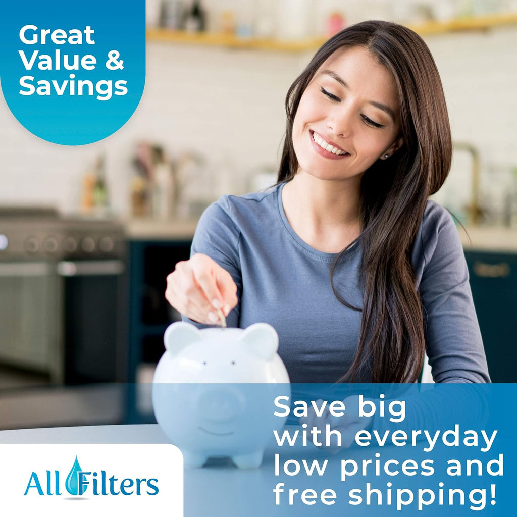 Spa Pool Filter Replacement Cartridge N316
