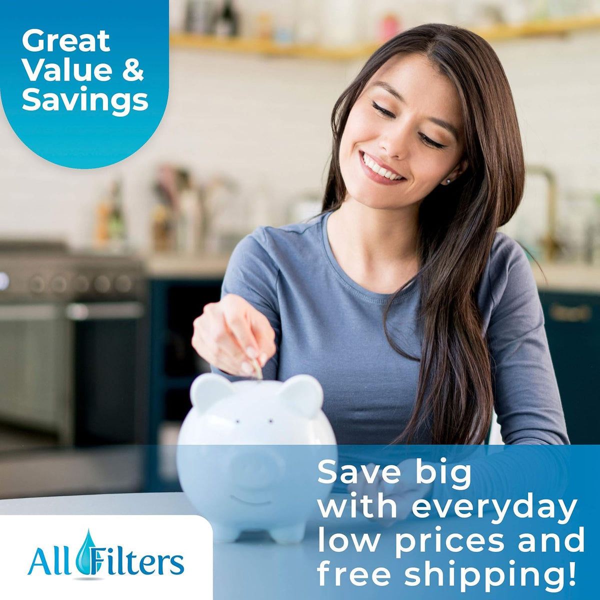 Spa Pool Filter Replacement Cartridge N316