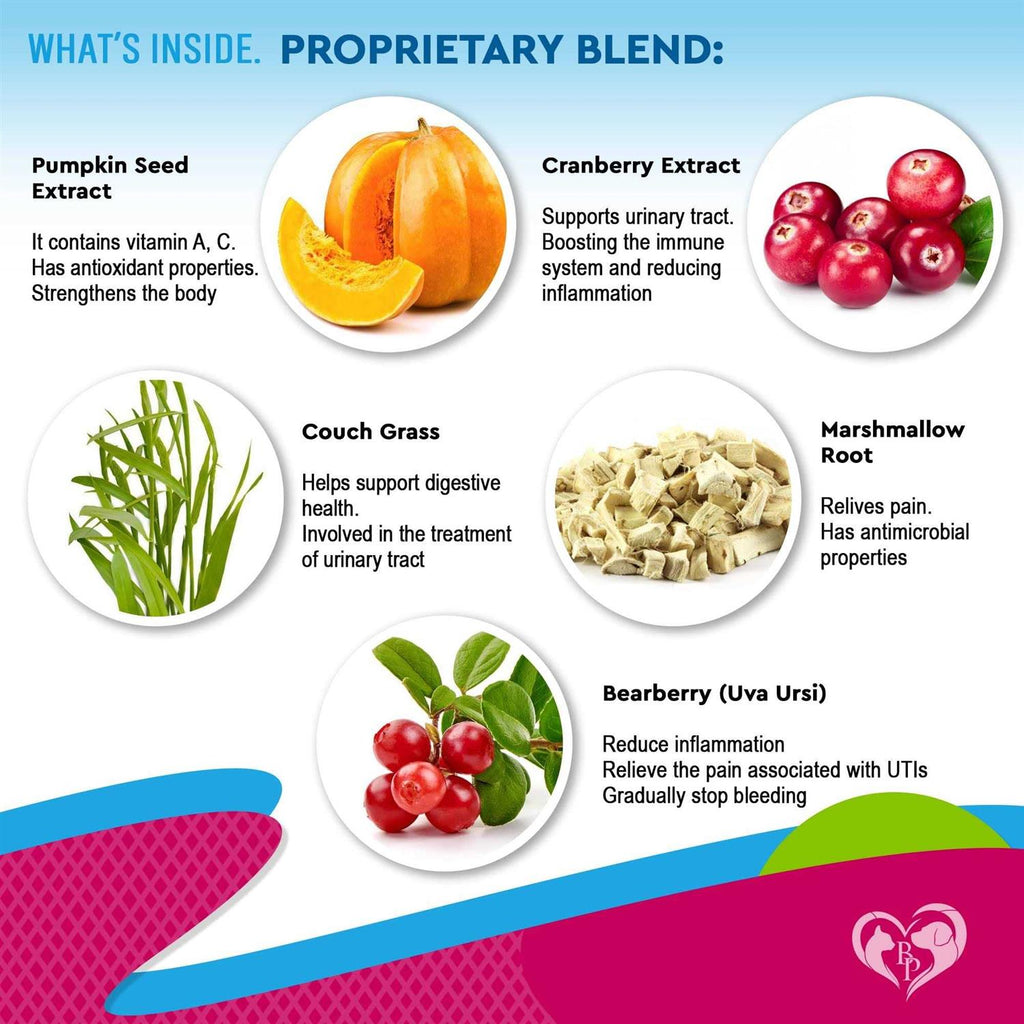 Urinary Tract Infection Treatment Cranberry Supplement U12947