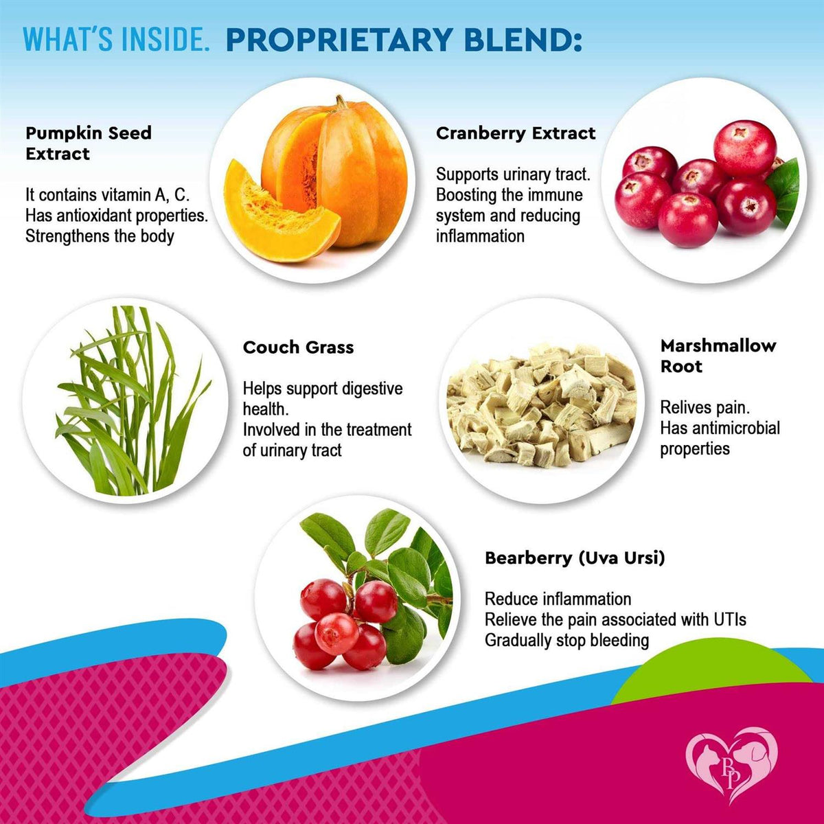 Urinary Tract Infection Treatment Cranberry Supplement U12947