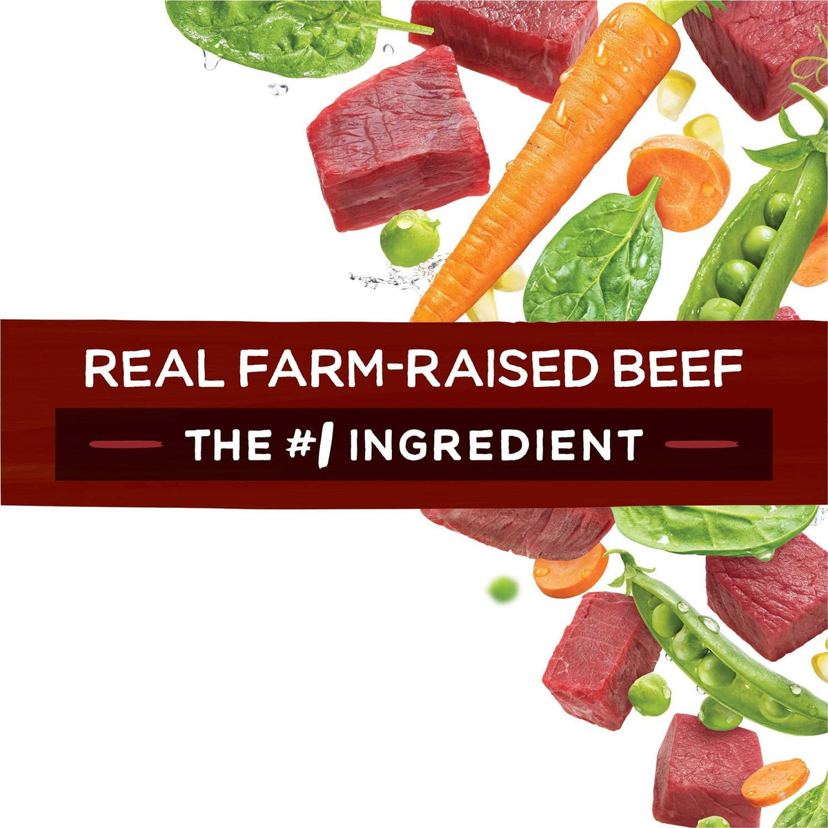 Dog Food with Real Beef Y14065