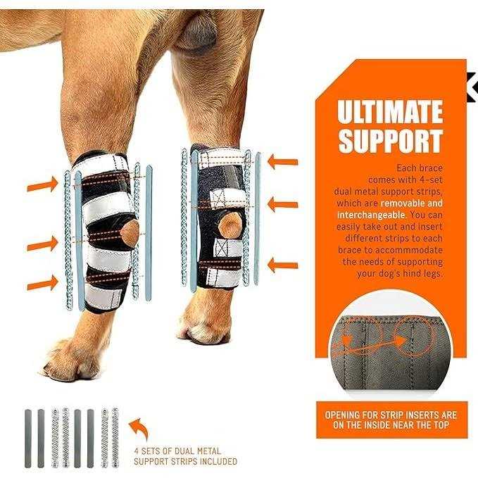 3-in-1 Long Rear Leg Support Dog Splint Braces P761115