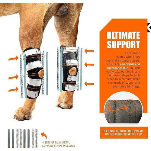 3-in-1 Long Rear Leg Support Dog Splint Braces P761115