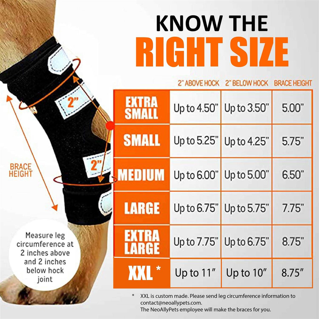 3-in-1 Long Rear Leg Support Dog Splint Braces P761115