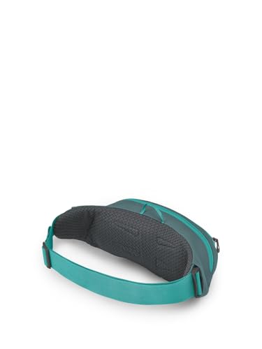 Daylite Waist Pack F619530