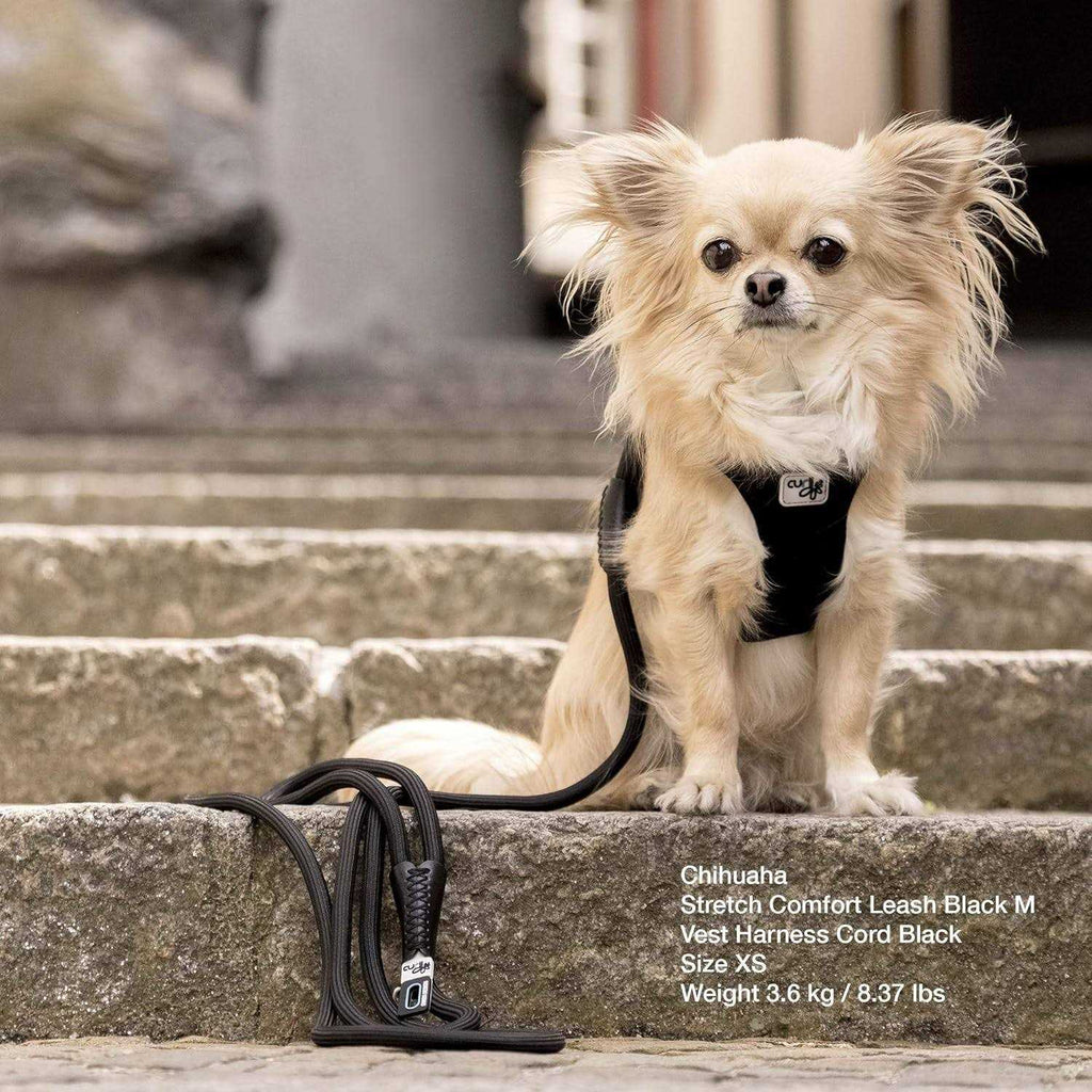 Comfort Leash N626