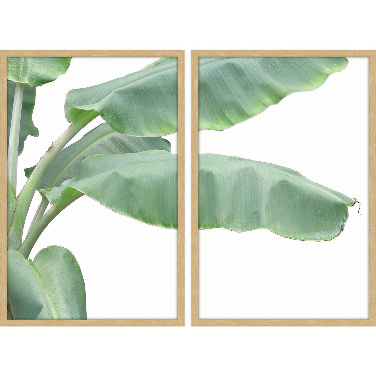 36 inch x 48 inch Diptych S264849