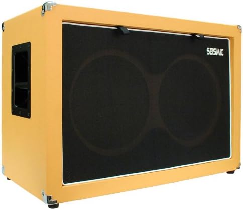 2x12 Speakerless Guitar Cabinet S22349