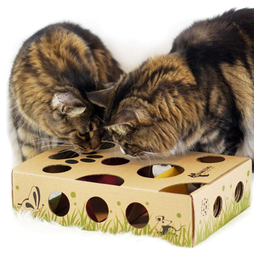 Interactive Cat Treat Maze Puzzle Feeder E797