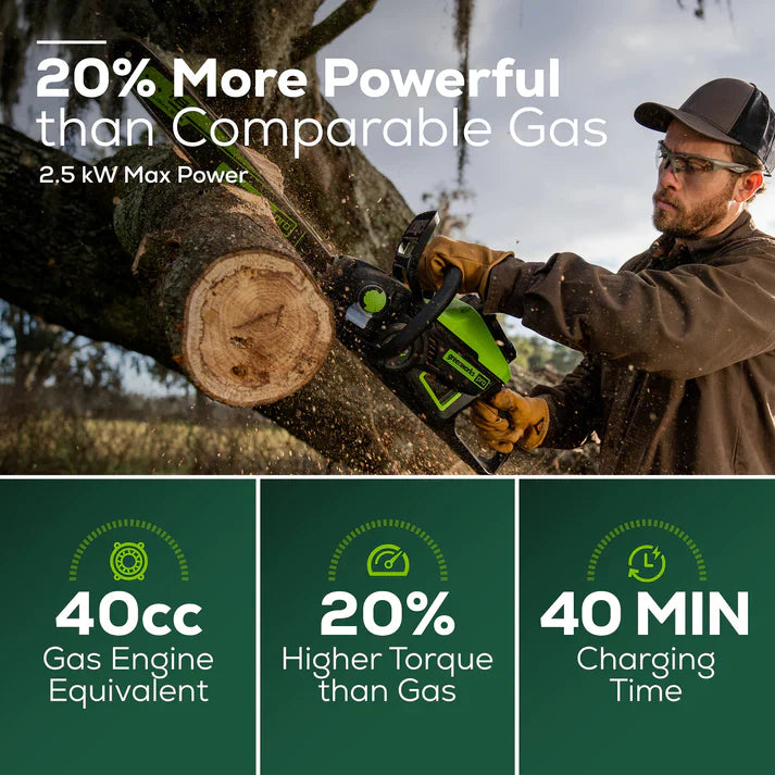 60V Cordless Chainsaw with Battery & Charger W6910