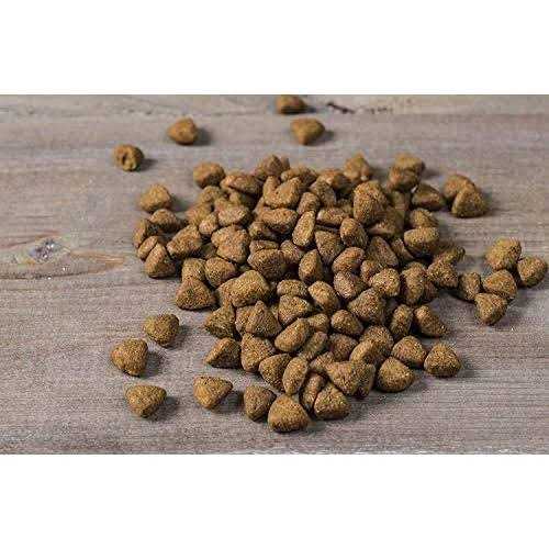 Small Breed Dry Dog Food Turkey L626084