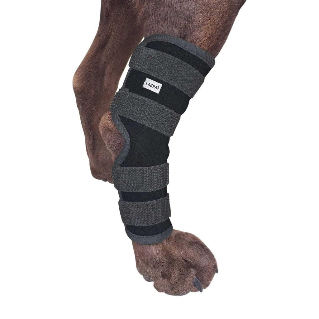 Dog Rear Leg Hock Joint Compression Wrap N74357