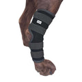 Dog Rear Leg Hock Joint Compression Wrap N74357