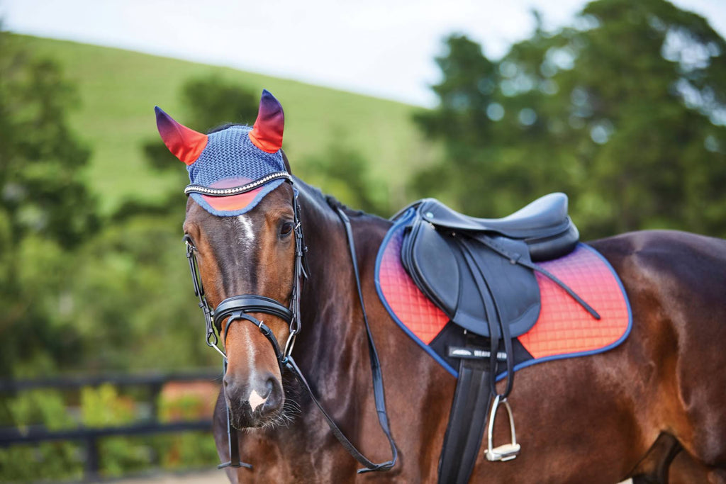 Pony Ombre Jump Saddle Pad K219