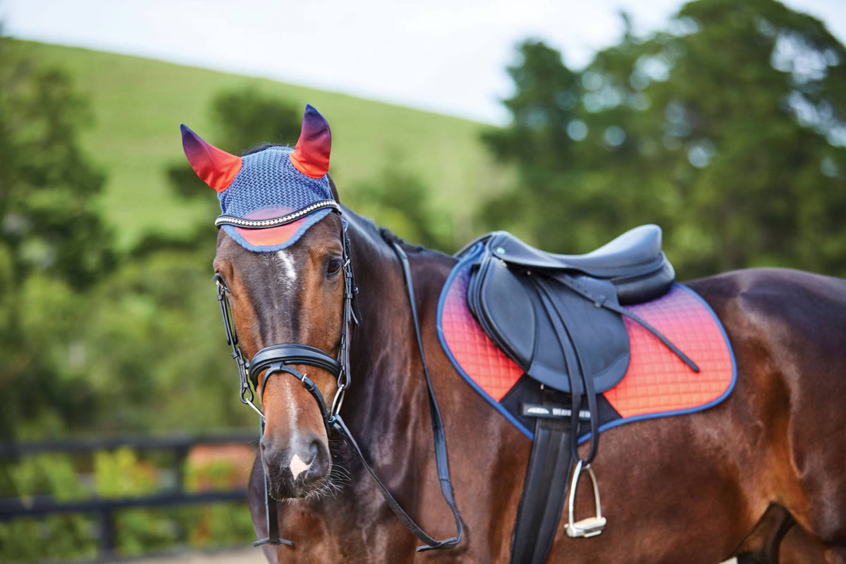 Pony Ombre Jump Saddle Pad K219