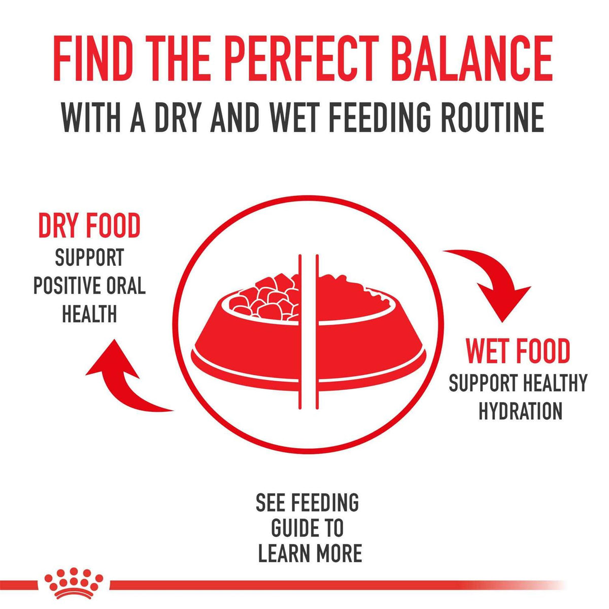 Adult Dry Dog Food E3697