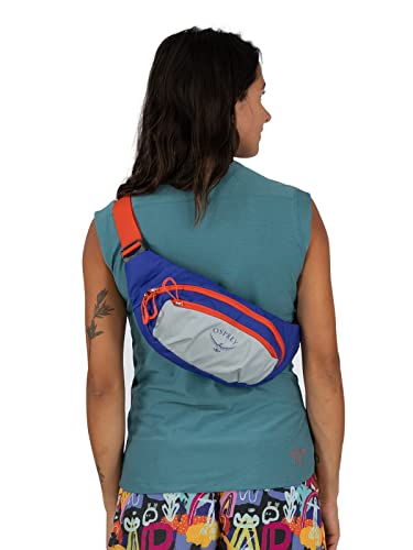 Daylite Waist Pack F619530
