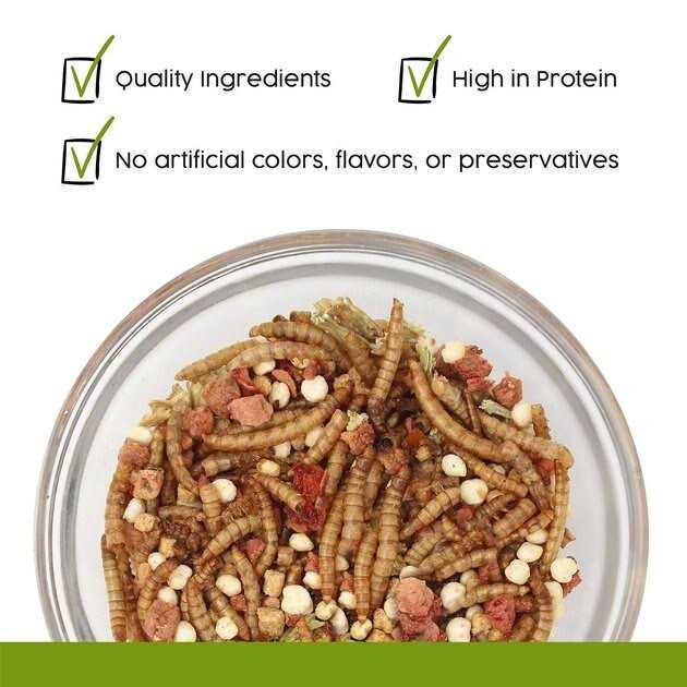 Hedgehog Treat B802