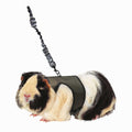 Pet Supplies Q3418