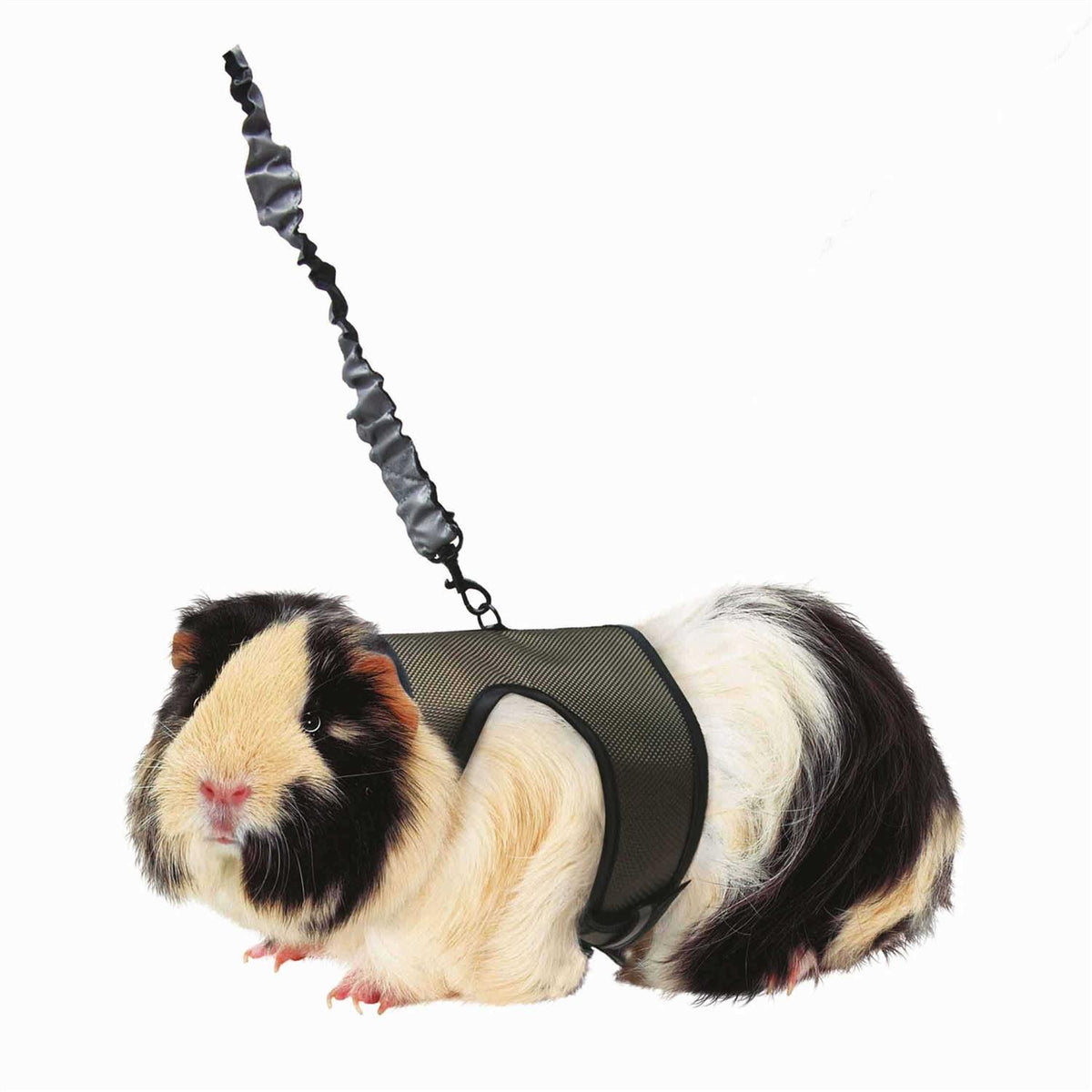 Pet Supplies Q3418