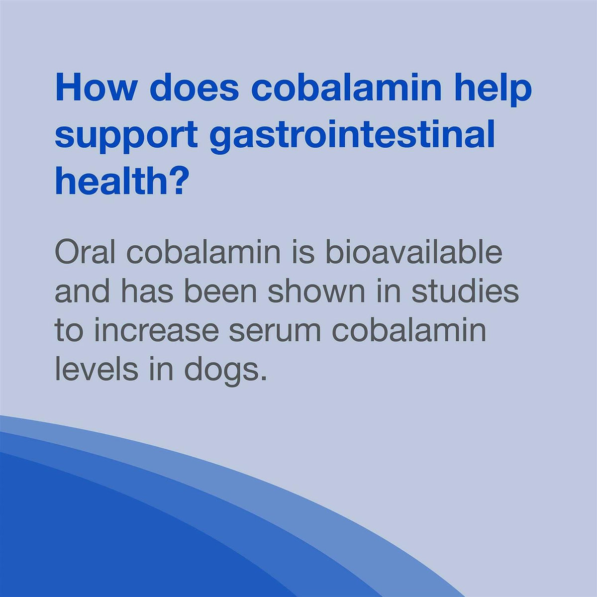 B12 Supplement Dogs H9962
