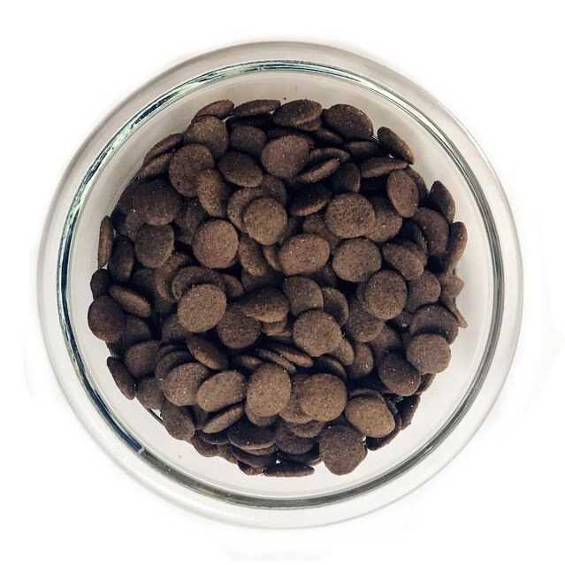 Chicken Brown Rice & Pumpkin Dry Dog Food K281006