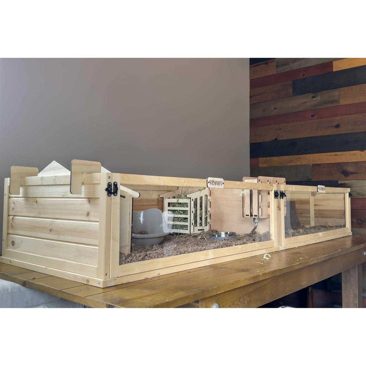 Guinea-Pig Habitat M418556