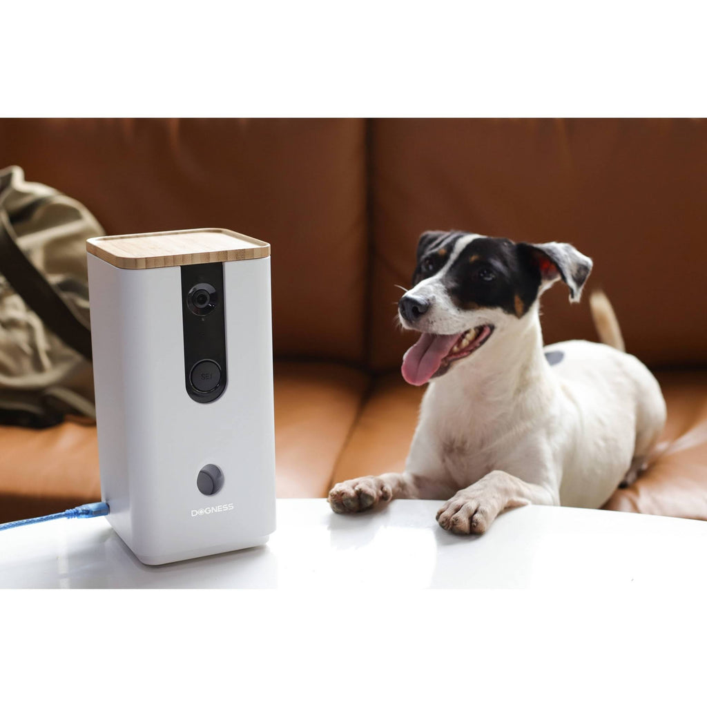 White Pet Treat Dispenser with Camera T2572