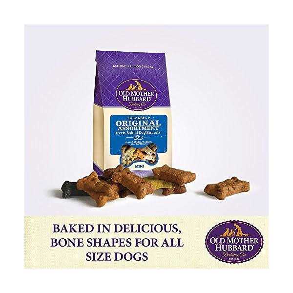 Dog Biscuits Q580821