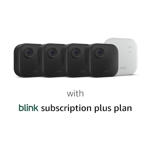 Wireless Security Camera System P22842