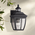 Black 12 inch Clear Seedy Glass Motion Sensor Outdoor Wall Light K22573