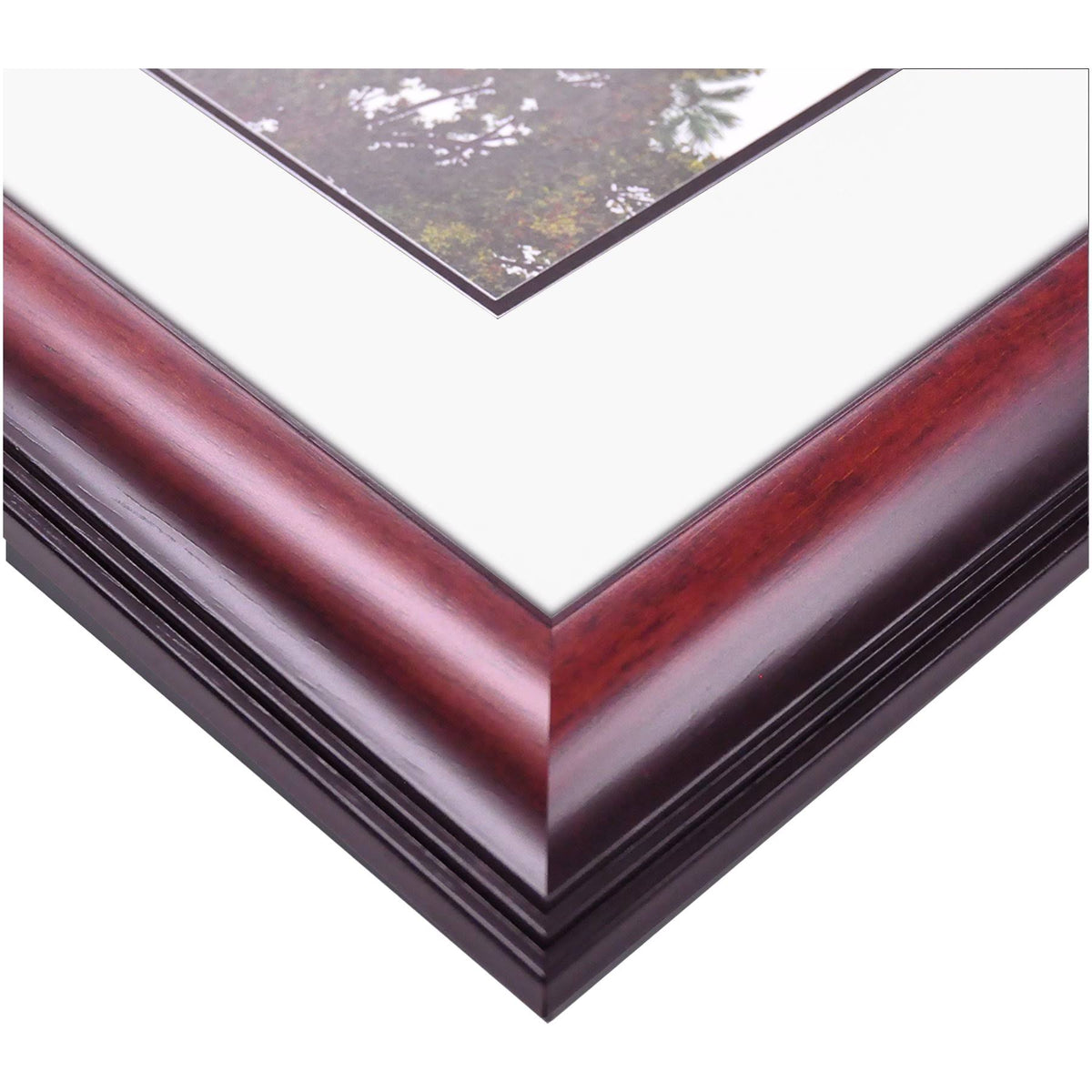 17W x 14H Diploma Frame G804