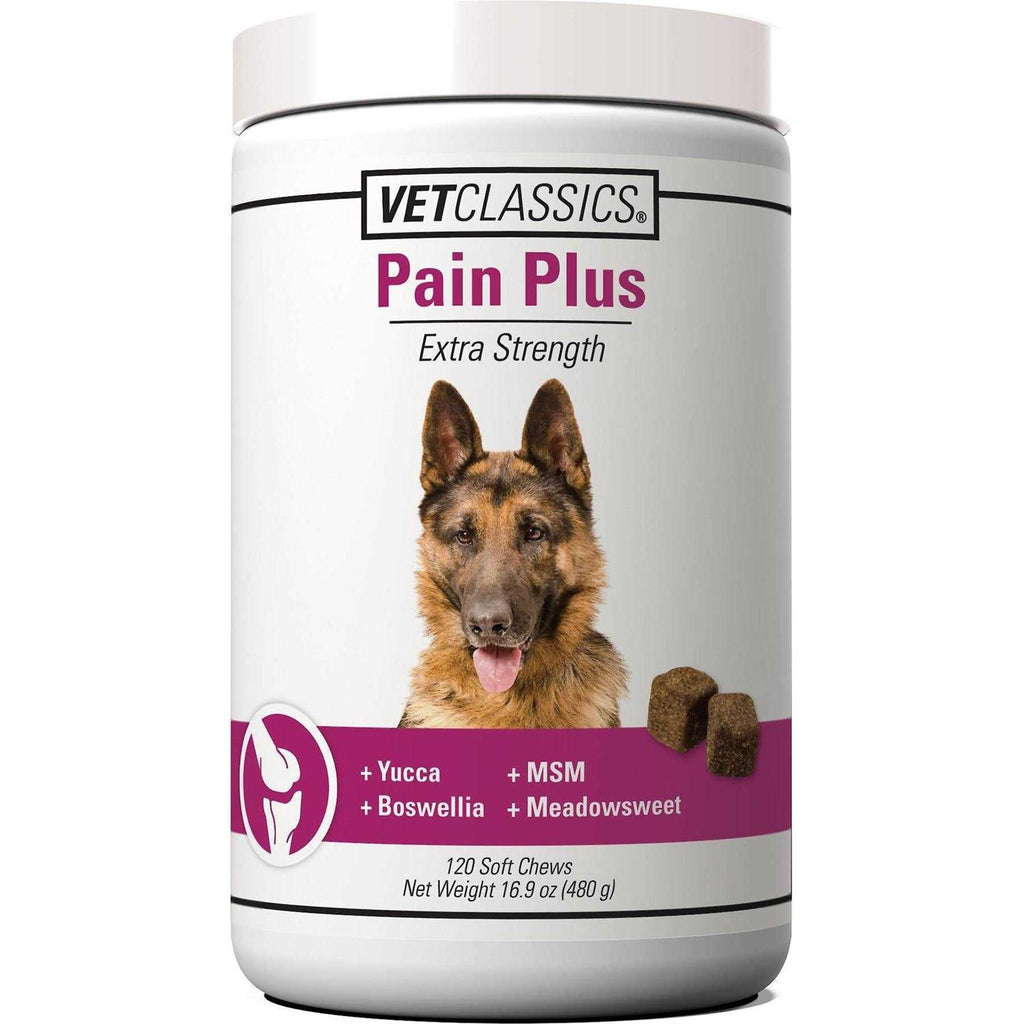 Pain Plus for Dogs G3152